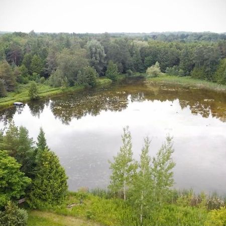 Cottage Retreat On 11 Acres Flesherton Luaran gambar