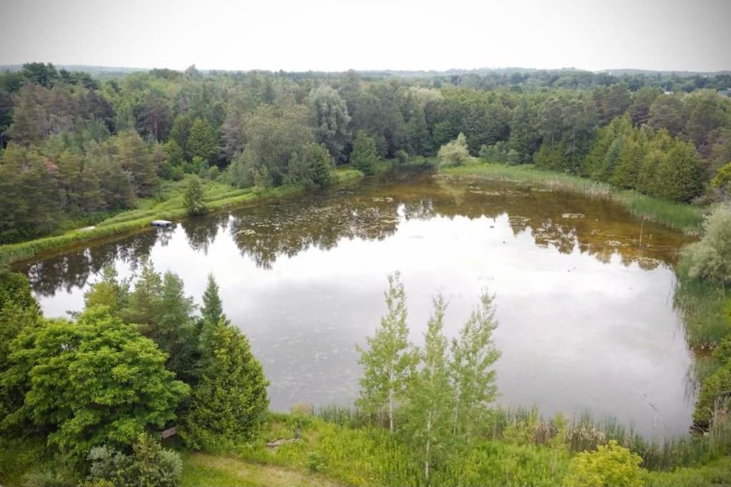 Cottage Retreat On 11 Acres Flesherton Luaran gambar